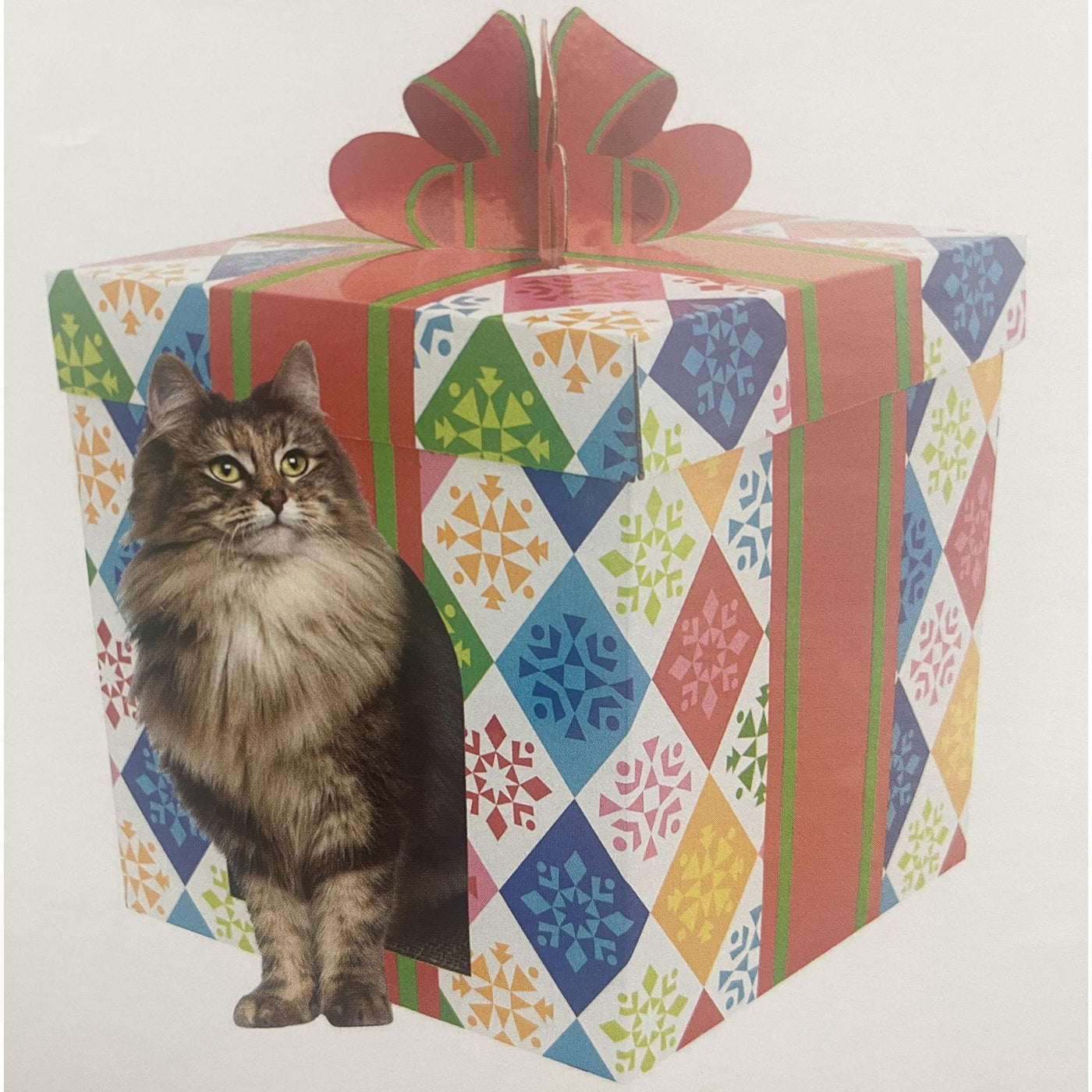 Holiday Present Cat Scratcher