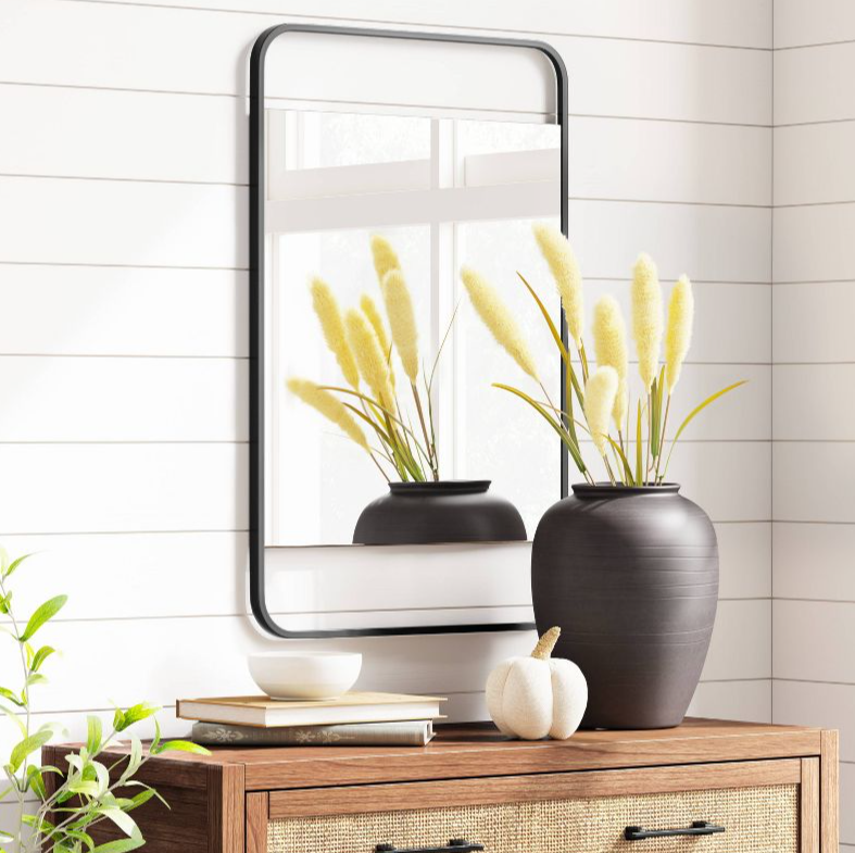 Black  Slim  28" x 18" Floating Wall Rectangular Mirror