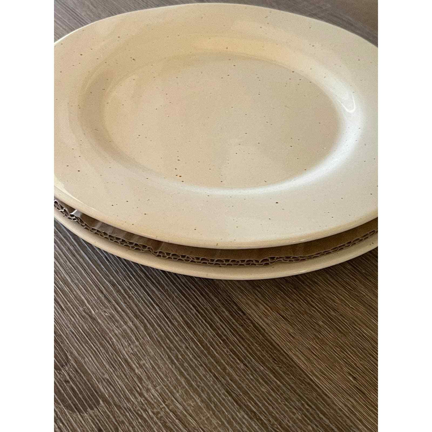 4PK Stoneware Rockwood Dinner Plates - Threshold