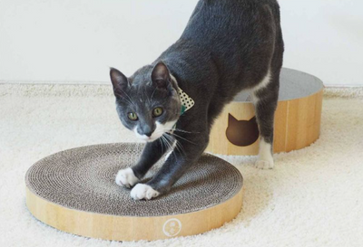 Necoichi Cozy Cat Scratcher Bowl Replacement Pad - 2pk