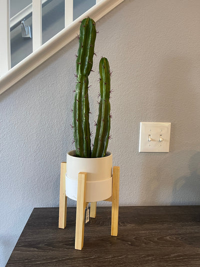 Medium Cactus Wood Pot - Threshold™
