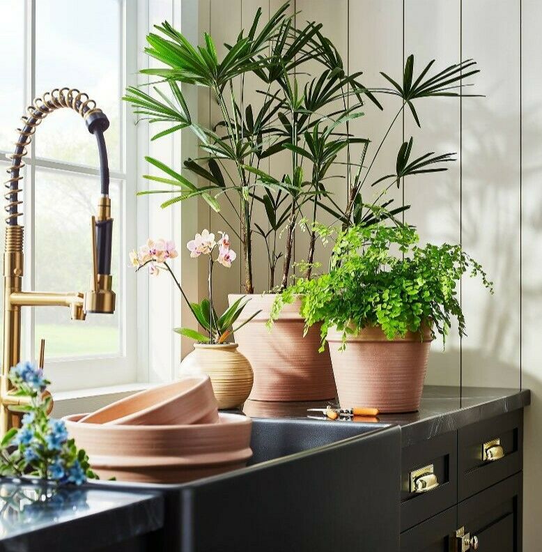 Earthenware Tabletop Planter - Threshold™ designed with Studio McGee Rose color